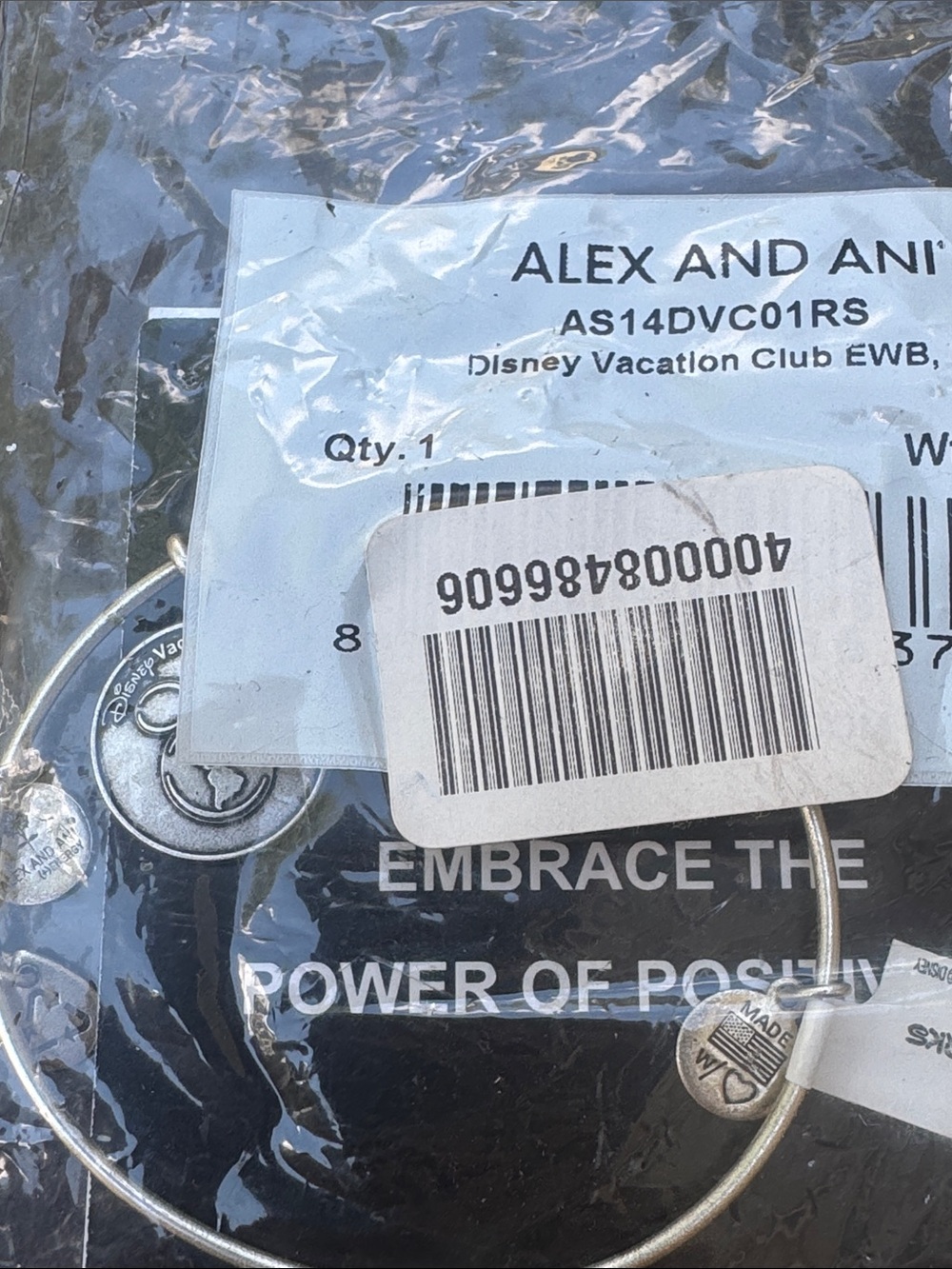 Alex and Ani Silver Disney Globe Charm Expandable Bracelet - Picture 3 of 3
